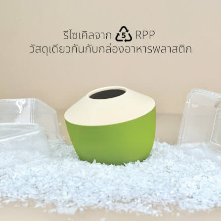 กล่องทิชชู QUALY ดีไซน์มะพร้าว สีเขียว_3